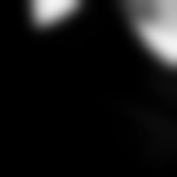 fichte189