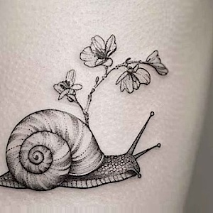 Schnecke1342