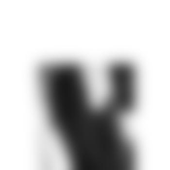 Deckstute_