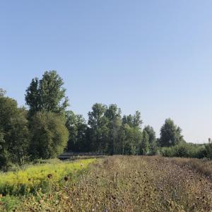 Schussentalbrücke