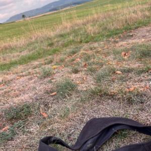 Galgenhügel Woppenroth