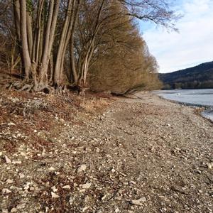 Gailingen am Rhein - Rheinufer