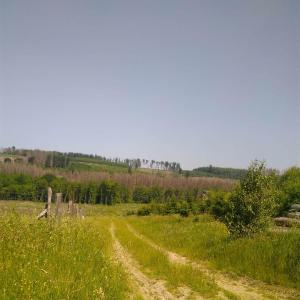 Sex Dates im Märkischen Kreis Sauerland