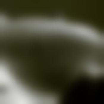 Black_Swan444