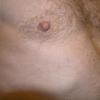 NippFan