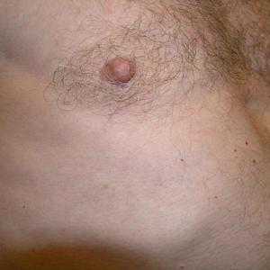 NippFan