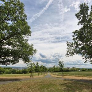 Obere Hardt / Ev.Krankenhaus