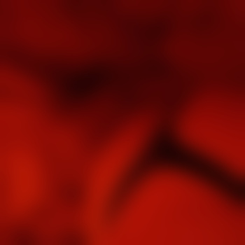 Jungelust23