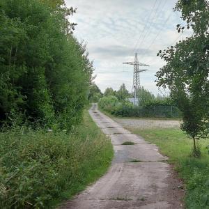 Am Solarfeld bei Blomberg **