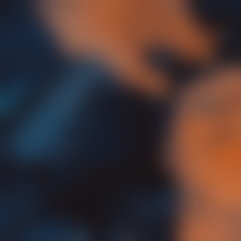 schmitti7