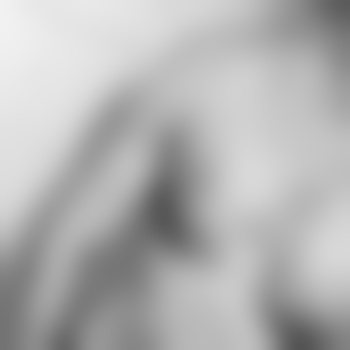 nice_kcid