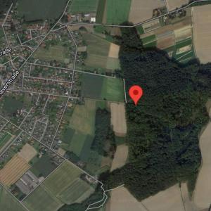 Uhlenburger Wald Kirchlengern Häver