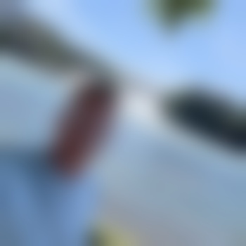 Steve-8_0