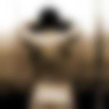 bull_seven