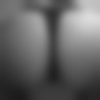 Bi_Paar_36u41