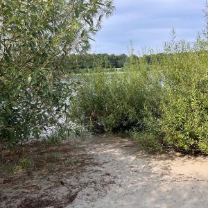 Neuss-Uedesheimer Rheinbogen