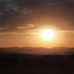 Affäre gesucht Raum Sachsen Brandenburg