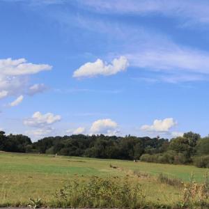 Regnitzufer Alterlangen
