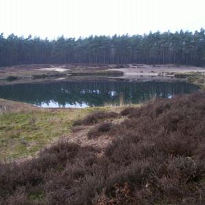 Moorschlatts und Heiden in Wachendorf