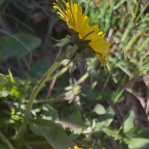 FREIZEIT-PLUS-GRUPPE...