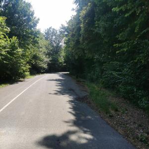 Für nette & tolerante Paare, Damen und Herren