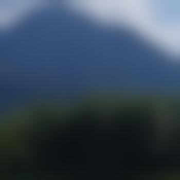 bigpint001