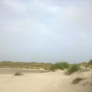 In den Dünen