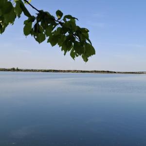 Gegenseitig wichsen in Thüringen