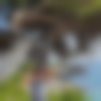 Schlumpf1111