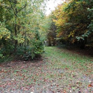 Parkplatz Beller Wald