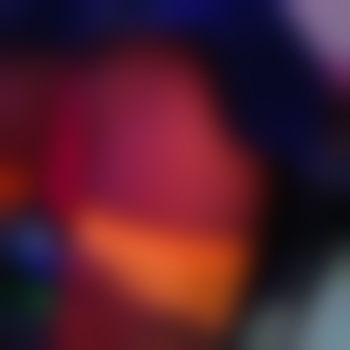 SAM_069