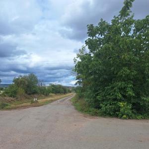 Grüne Brücke Martinsrieth