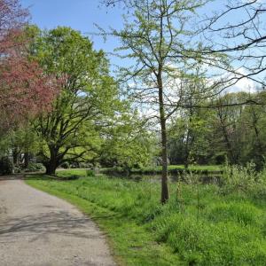 Rhododendronpark Verden
