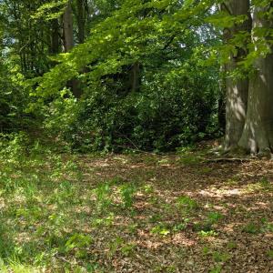 Hamburg Nord Outdoor Bi Männer ab 40