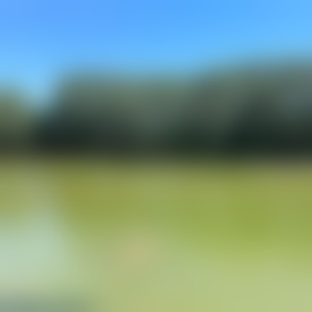 abenteuer_pur