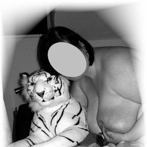 wildcat_82