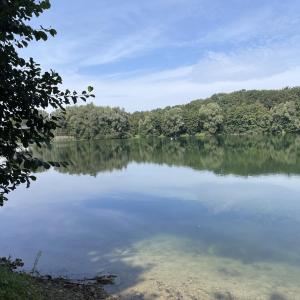 Zum Weißen Stein - See