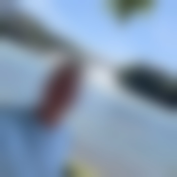 Steve-8_0