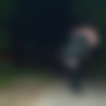 DWMartina