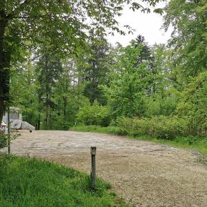 Linsenholzsee göppingen