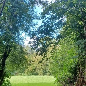 FKK Wiese Asterlagen