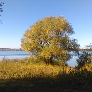 Adria (See bei Borna)