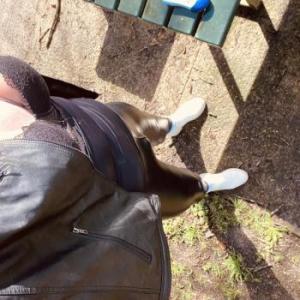 trannylover81