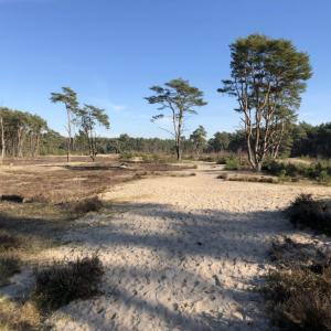 Holmer Sandberge (Kreis Pinneberg)