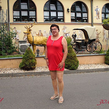 dany-wilde