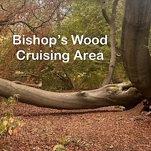 Bishop’s Woods Cruising Area