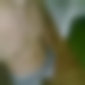 Niemand111001