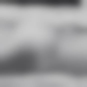 Realbi