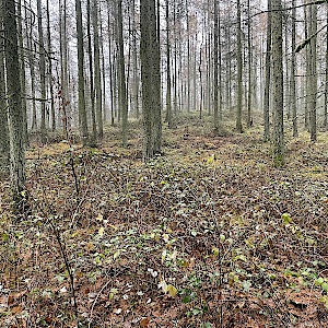 Jäger und Gejagde