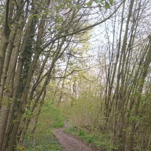 Usa (Bach) zwischen Friedberg und Bad Nauheim